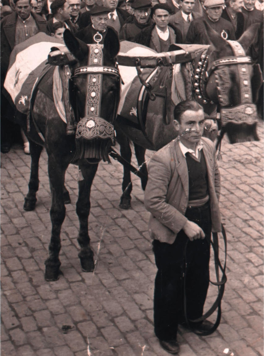guarnicionero-2